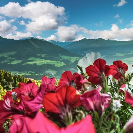 Διαμέρισμα Blick Hohen Salve