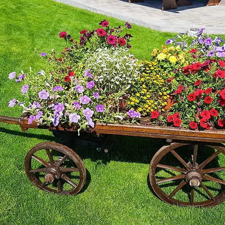 Διαμέρισμα Blick Hohen Salve